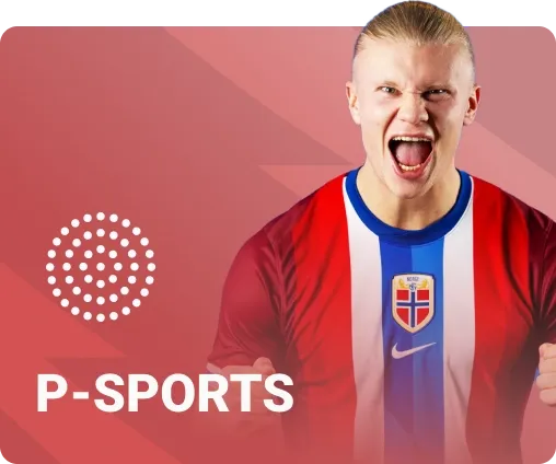 p-sport-sky88